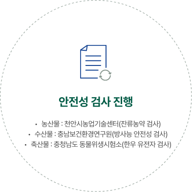 안전성 검사 진행