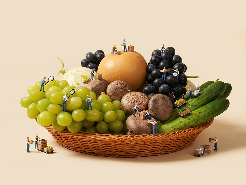 Distribution Business